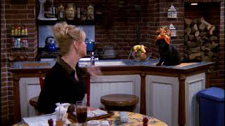 Salem Saberhagen, The cat in the fruity fruity hat