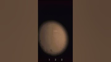 For some reason, this reminds me of a song…#repo #twitch #streamer #twitchstream #stream