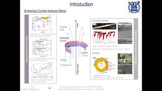 Screening-current-induced strains in REBCO insert coils