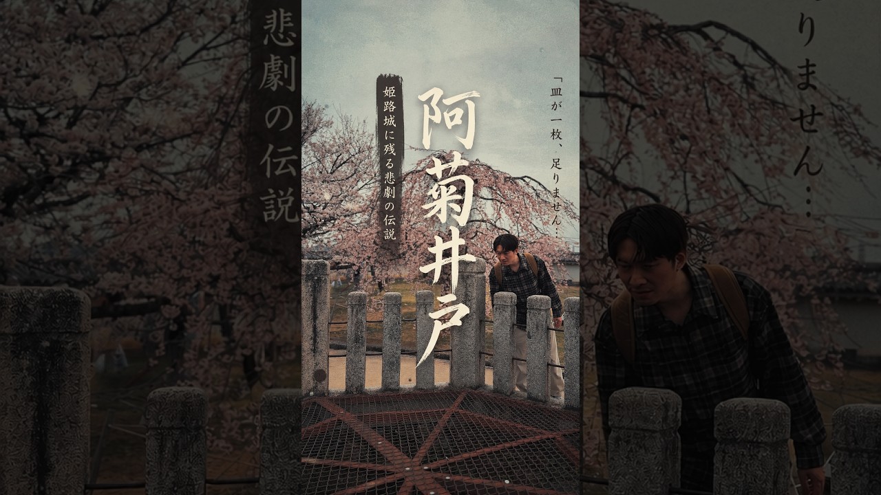 🇯🇵 日本著名怪談《皿屋敷》 女侍女阿菊被殺害棄屍的古井... |shorts