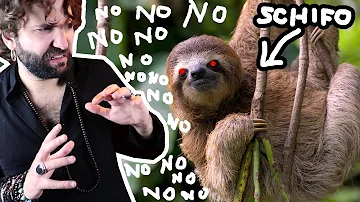 Chi sono i predatori dei bradipi?