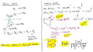 Saline and Sodic Soils