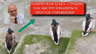 Паническая атака, страшно. Как быстро избавиться. Простое Упражнение.