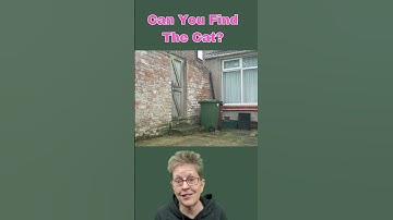 Can YOU Find the CAT? #puzzle #findthecat