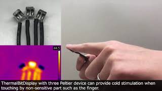 LBW258: ThermalBitDisplay: Haptic Display Providing Thermal Feedback Perceived Differently ... screenshot 1