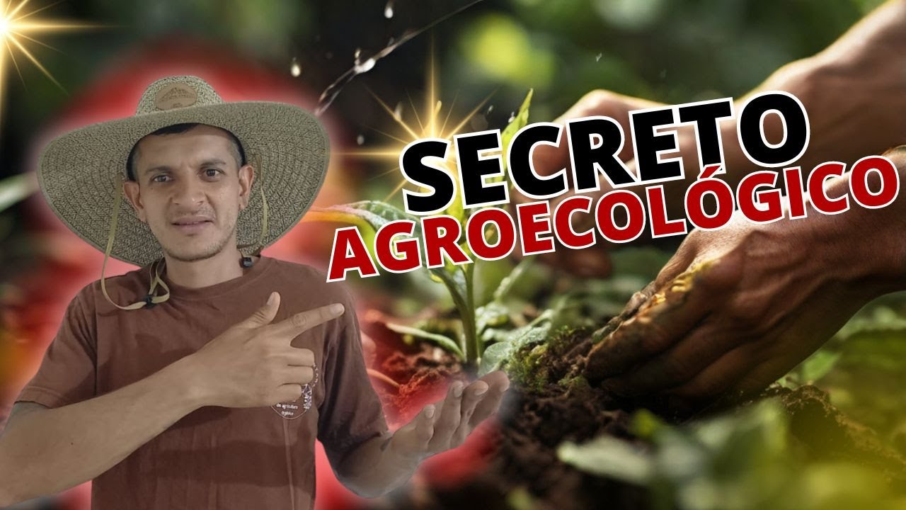 🧪DESCUBRE Los BIOINSUMOS Y La BIOFÁBRICA en San Carlos: el FUTURO de la AGRICULTURA ORGÁNICA 🌿