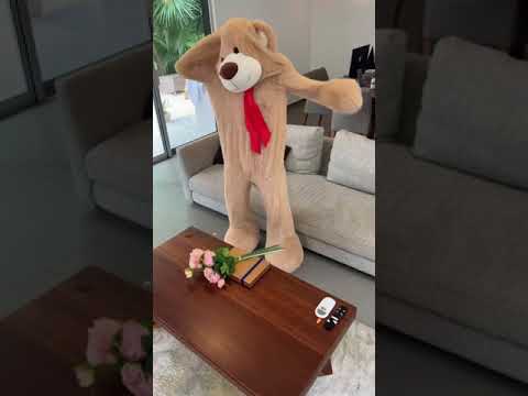 JULIUS DEIN - TEDDY BEAR PRANK!! - #Shorts - JULIUS DEIN - TEDDY BEAR PRANK!! - #Shorts