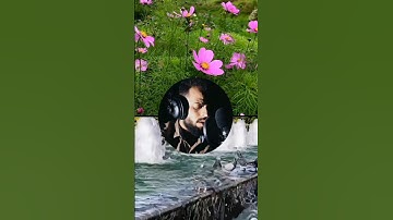 سورة الإنسان الجزء الثالث _ شريف مصطفى #تلاوة_خاشعة #القرآن_الكريم #طبيعة #flowers #relaxing