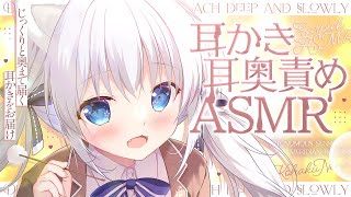 琥珀ねね / Kohaku Neneの配信のサムネイル画像