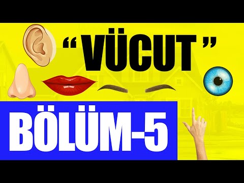 İNGİLİZCE VÜCUT BÖLÜMLERİ