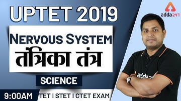 UPTET 2019 | Science | Nervous System
