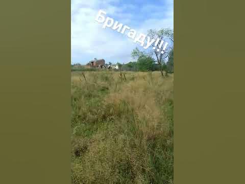 ырка - YouTube