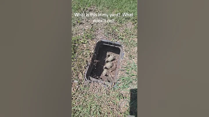 Any idea what this is used for? #help #noidea #electrical