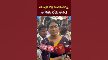 జగన్ అసెంబ్లీకి వెళ్లి..! : YS Sharmila | YS Jagan | NTV Telugu