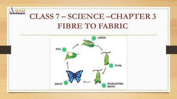 CLASS 7 SCIENCE - FIBRE TO FABRIC - CHAPTER 3 - PART 1 ,#AAYAMEDUCATION