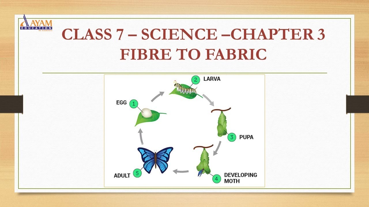 CLASS 7 SCIENCE - FIBRE TO FABRIC - CHAPTER 3 - PART 1 ,#AAYAMEDUCATION ...
