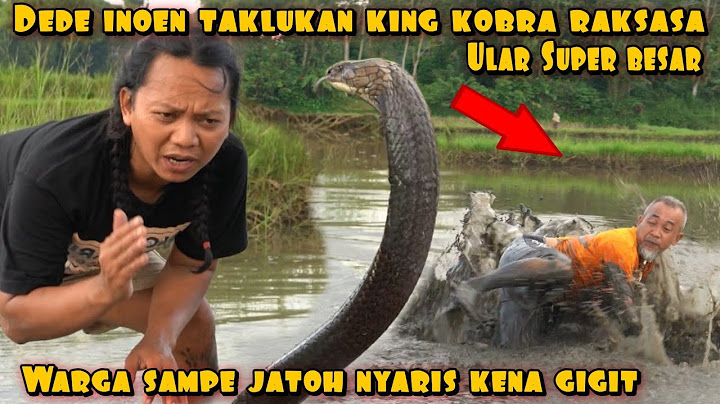 RESIDENTS WERE OVERWHELMED WHEN DEDE INOEN CATCHED A LARGE KING COBRA