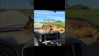 Evil Larry  trending funny