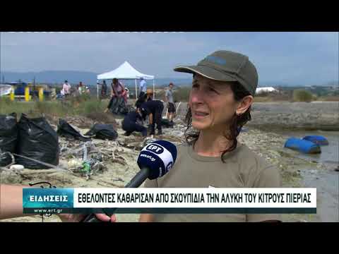 Καθαρισμός της Αλυκής