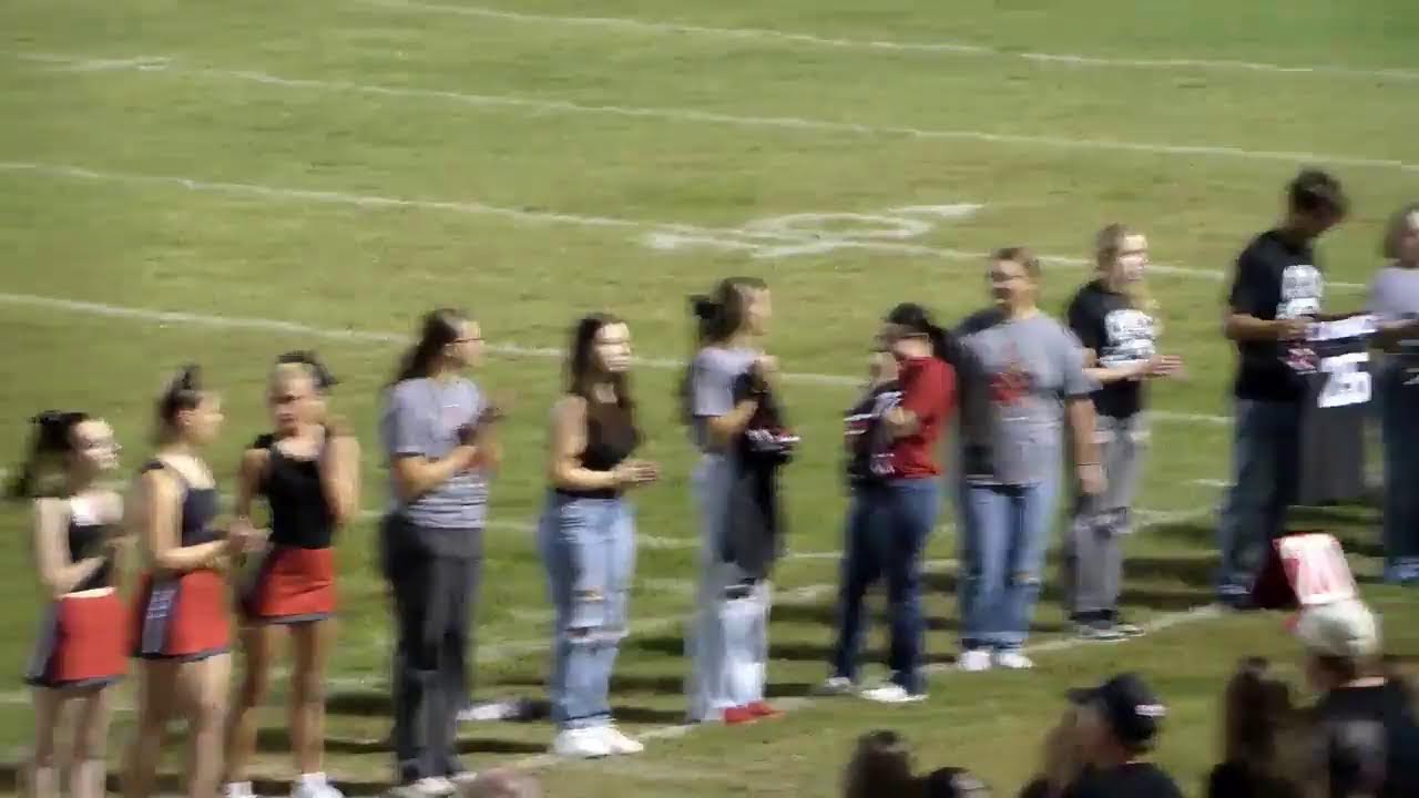 The Birds Nest Live Stream