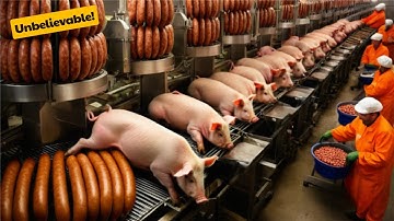 Amazing Videos👍🏻 Modern Agriculture Machines That Are At Another Level  23