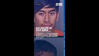 Celebrity People booked on immigration holds up slightly in Baldwin County Jail - WPMI NBC 15 Net Worth