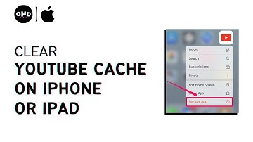 How To Clear YouTube Cache on iPhone or iPad 2023