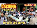 LA CACHINA DE ACOBAMBA en LOS OLIVOS / DOMINGO DE FERIA desde S/1.00