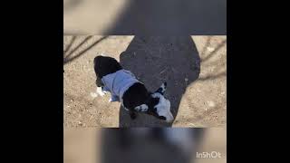 Ailenin Yeni Üyesi Dünyaya Hoş Geldin..