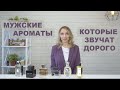 Лучшие мужские ароматы, которые звучат дорого. Рейтинг самых крутых мужских духов.