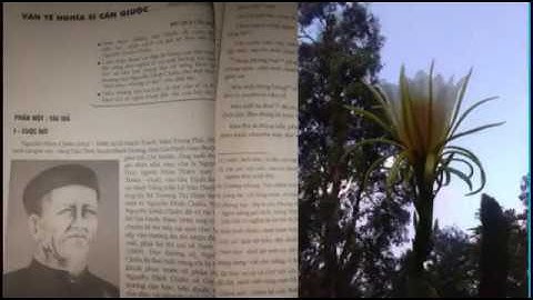 Rap Văn tế nghĩa sĩ Cần Giuộc 15 câu đầu. Ngữ văn lớp 11