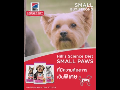 Hill's Science Diet Small Paws อาหารสุนัขพันธุ์เล็ก มีวิตามินอีสูงถึง 8 เท่า เสริมภูมิคุ้มกัน