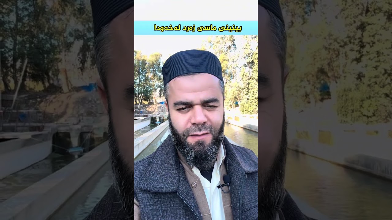 خەو بینین بە ماسی یەوە