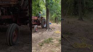 Big Tree vs Tractor Agriculture Machine agriculture shorts viral trending farming satisfying
