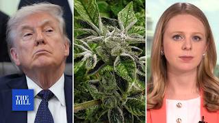 Trump reclassifies marijuana to Schedule III drug, allowing research on safety &amp; efficacy, says DOJ