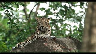 Pench - What we Saw & How we Saw it