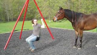 Friends and Horses at a playground