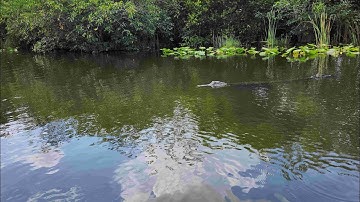 Secret Network Brings Privacy to Ethereum