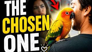 The Science Behind Why Birds Choose One Human
