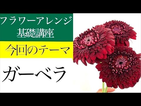 フラワーアレンジメントの作り方基礎講座 ガーベラのフラワーアレンジの作り方 ライブレッスン Youtube