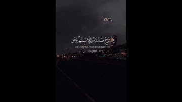 فمن يرد الله أن يهديه يشرح صدره | القارئ ماهر المعيقلي🤍