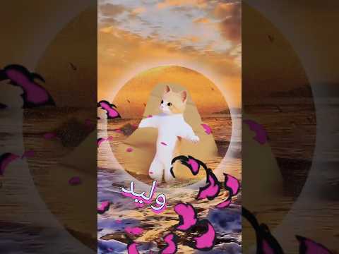 الاكتر طلبا وليد وليد العراق السعودية قطر الامارات الكويت البحرين الجزائر المغرب  