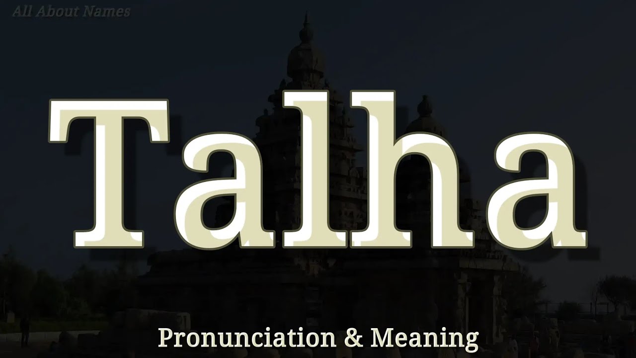 Talha - Pronunciation and Meaning - YouTube