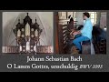 Bach  o lamm gottes unschuldig bwv 1095  schnitger organ uithuizen