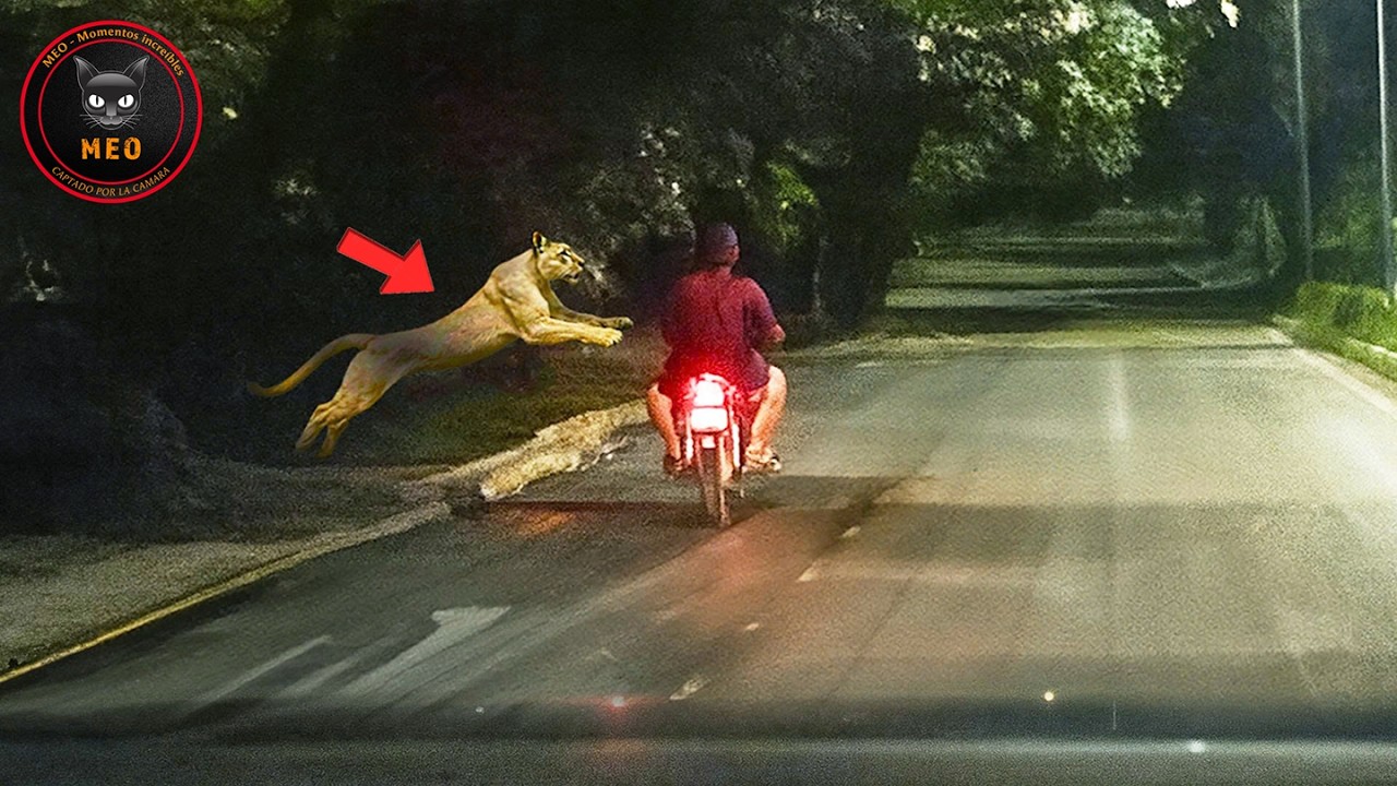 Momentos increíbles captados por la cámara | Lo mejor del mes #50