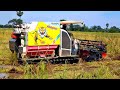 Incredible Rice Harvest in Cambodia with Kubota DC105X