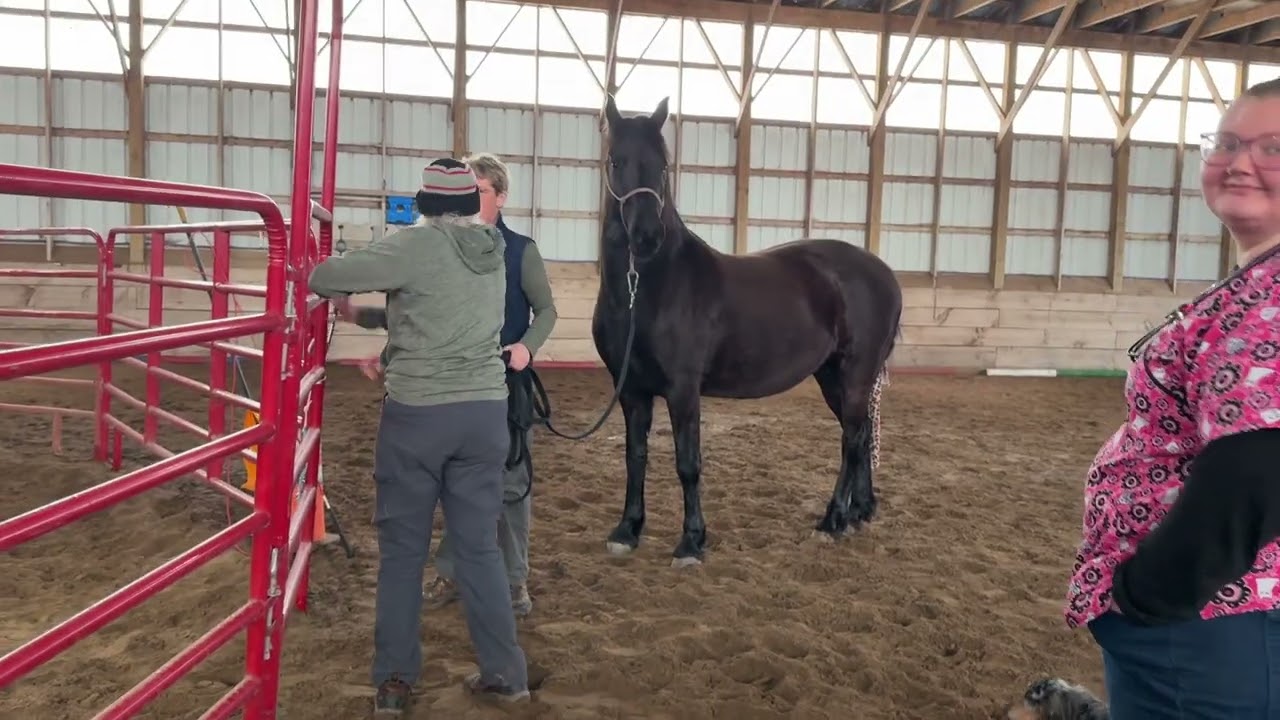 Isadora VanKirk 3/7/36