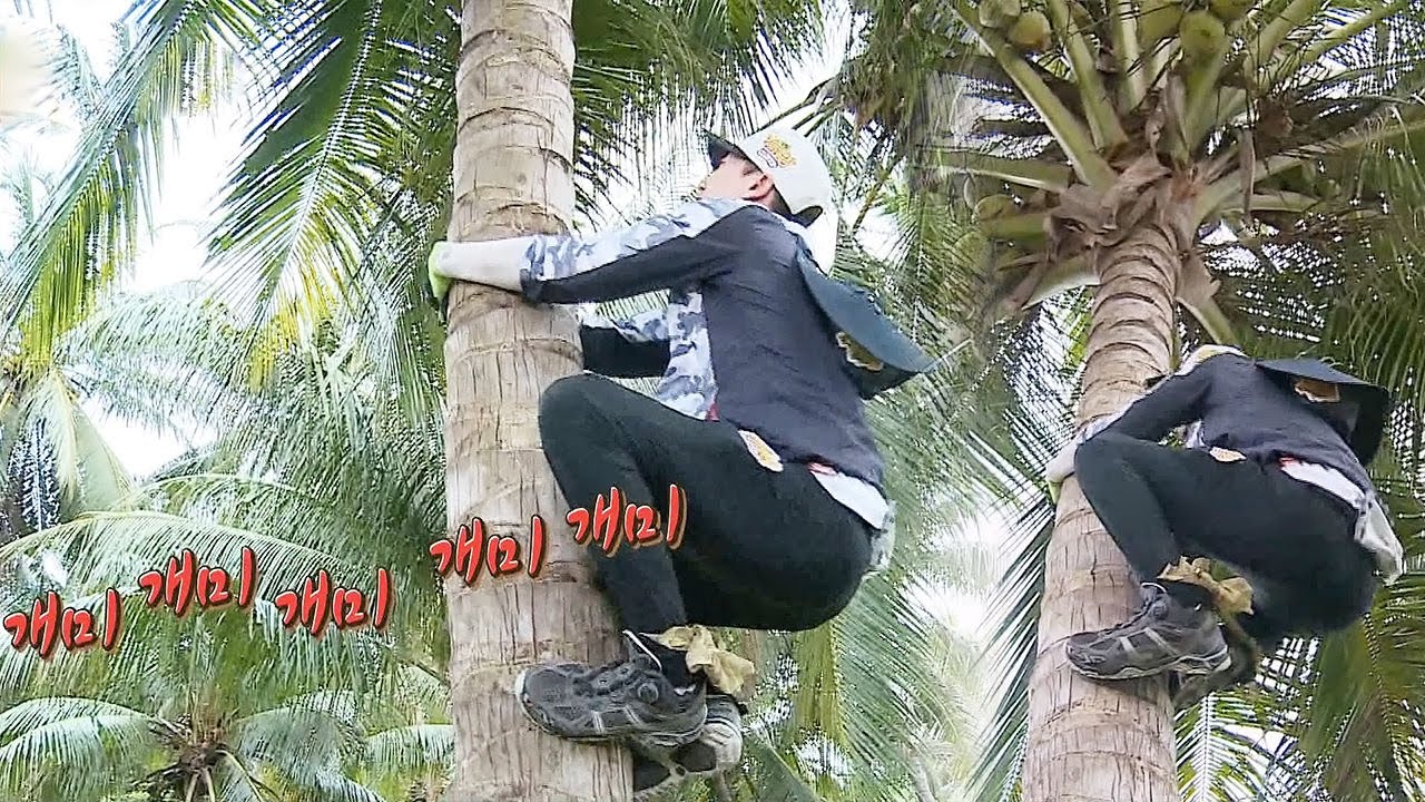 이특, 덤벼드는 불개미에 연신 비명 “으악!” @김병만의 정글의 법칙 217회 20160610