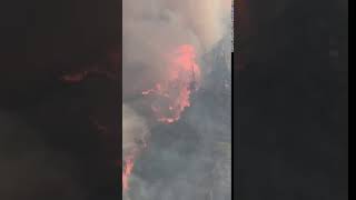 Grizzly Creek Fire Extreme Fire Behavior August 2020