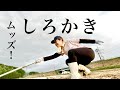【米作り】救世主!代掻き先輩現る! //Who's TV#225